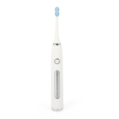 Sonic Electronic Toothbrush-ELG0304